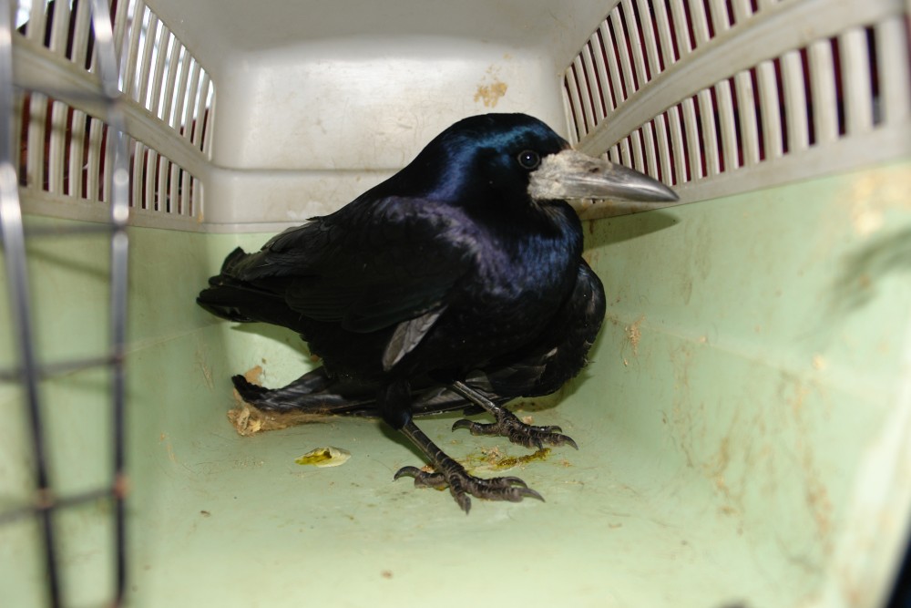 DSC01052.JPG