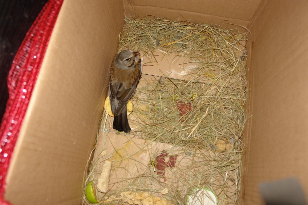 DSC01094.JPG