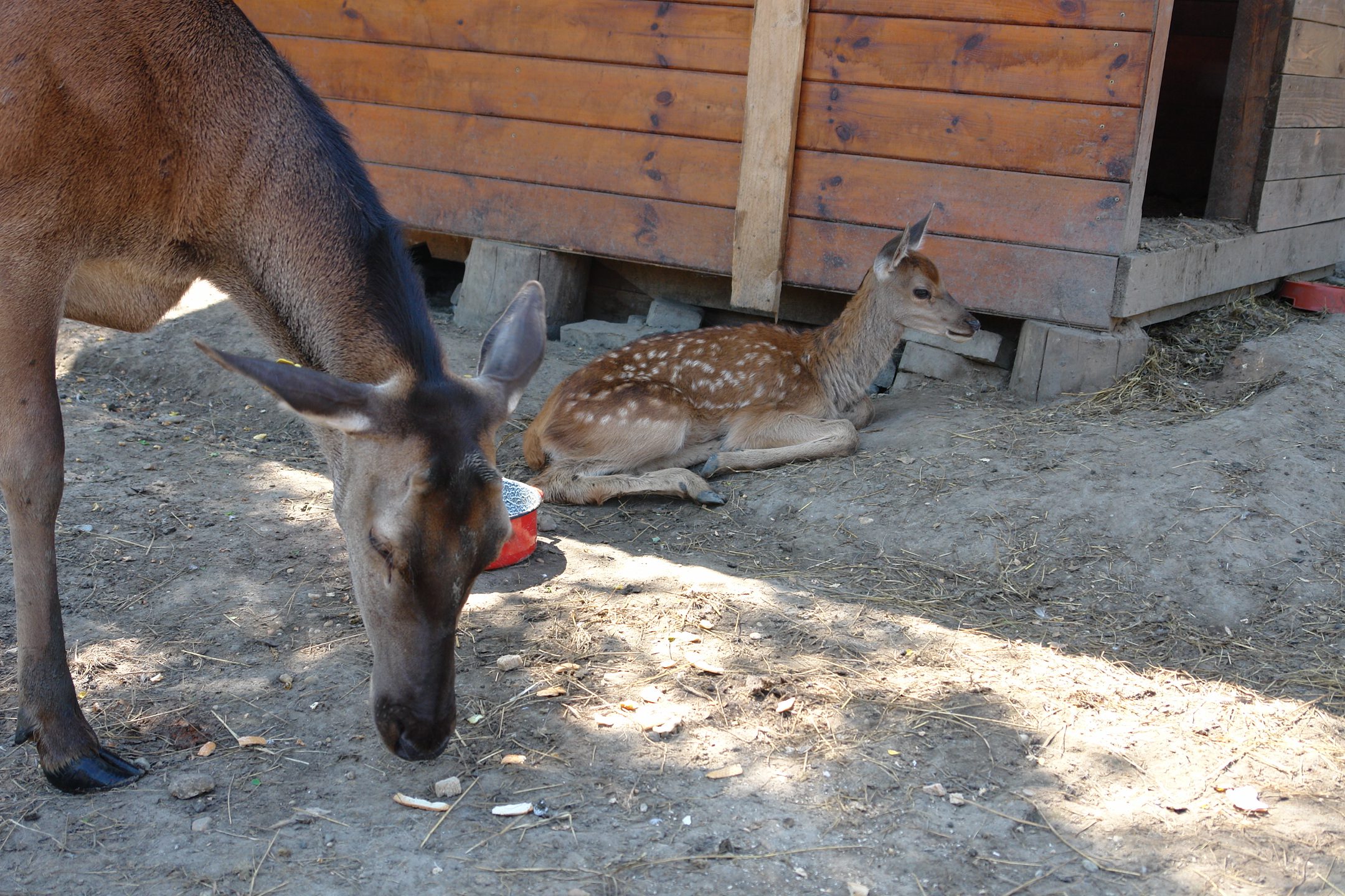 DSC03407_2.JPG