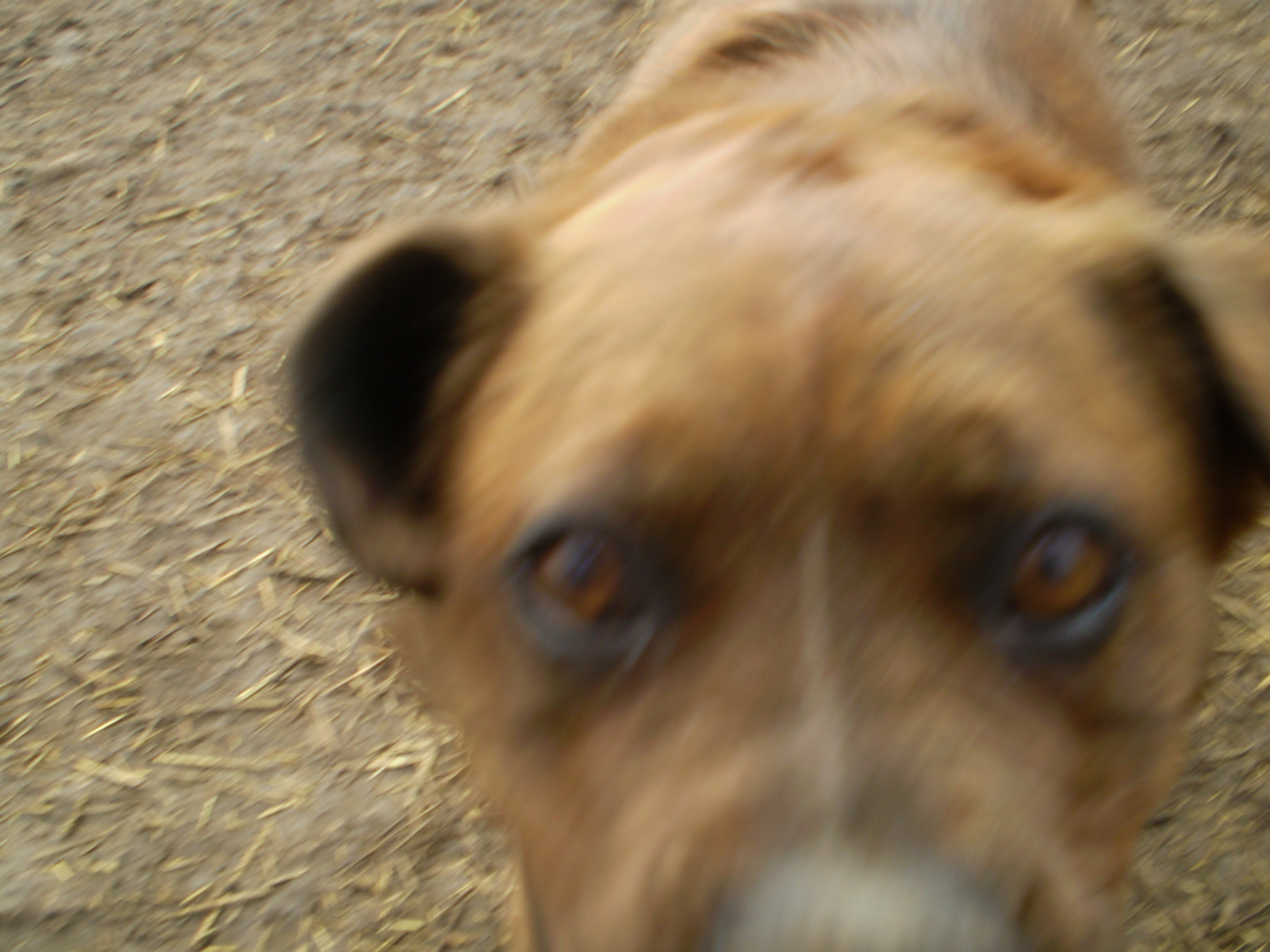 P1010017_2.JPG