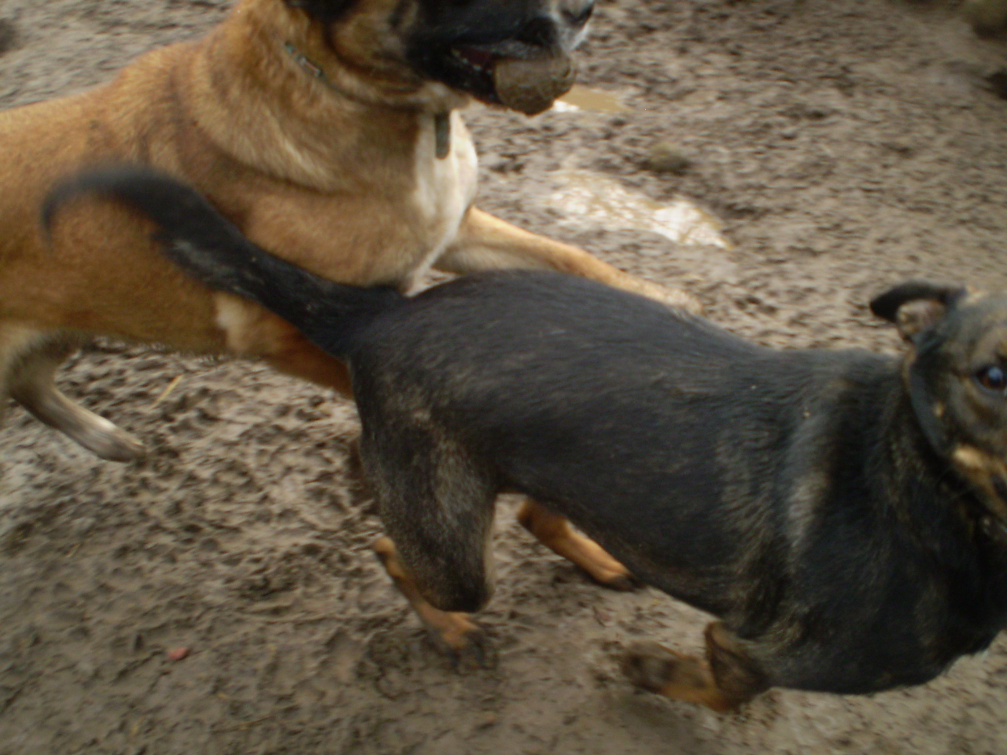 P1010077.JPG