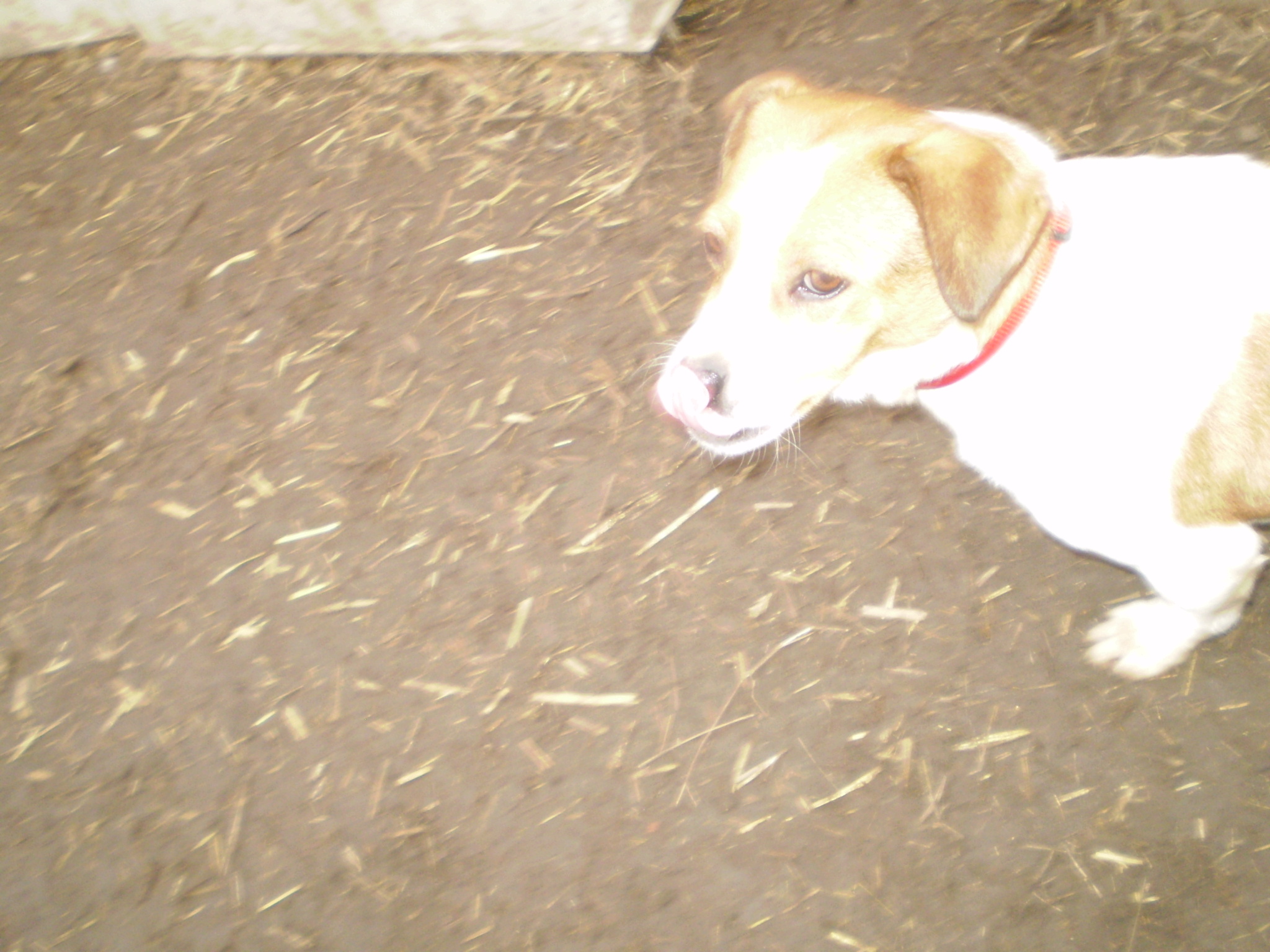 P1010242_2.JPG