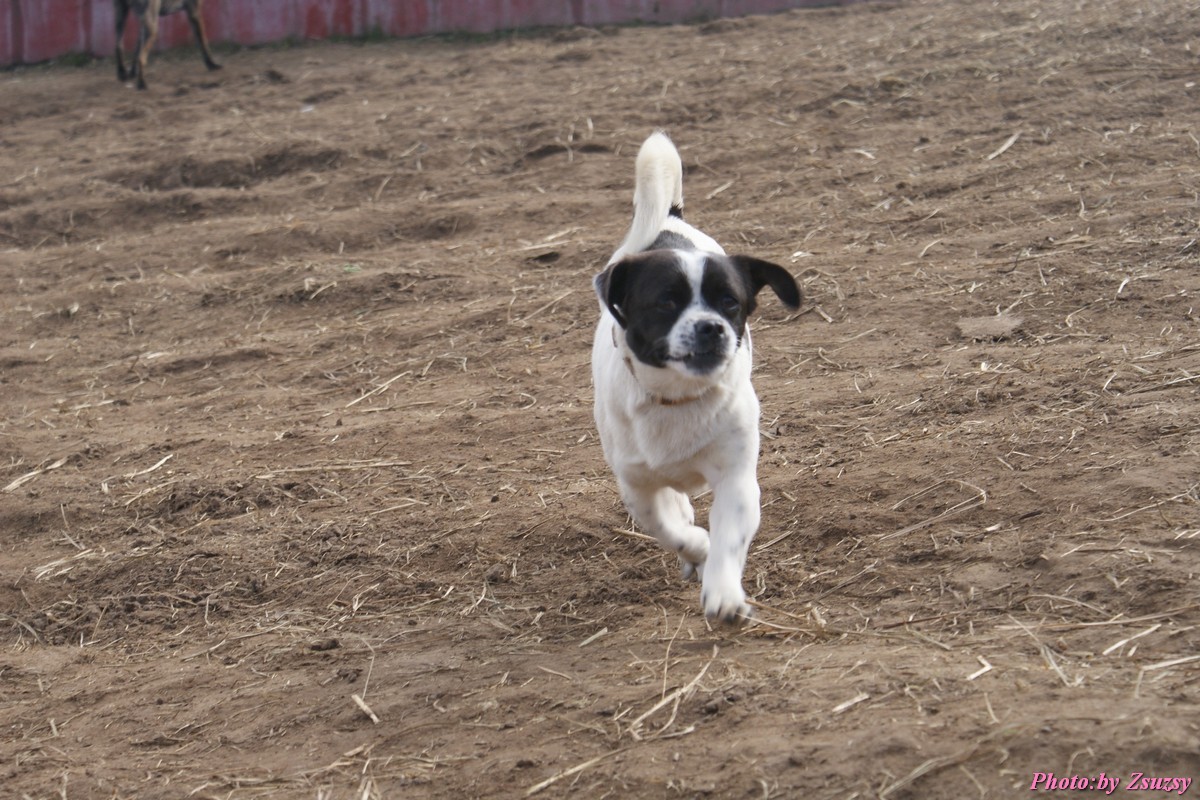 DSC00274_2.jpg