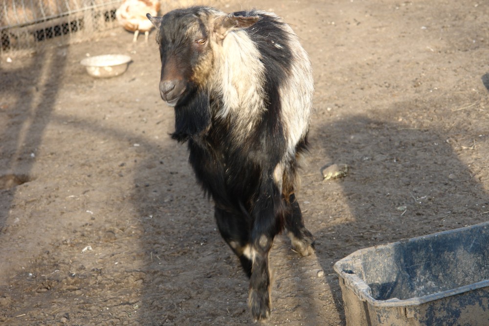 DSC03337.JPG
