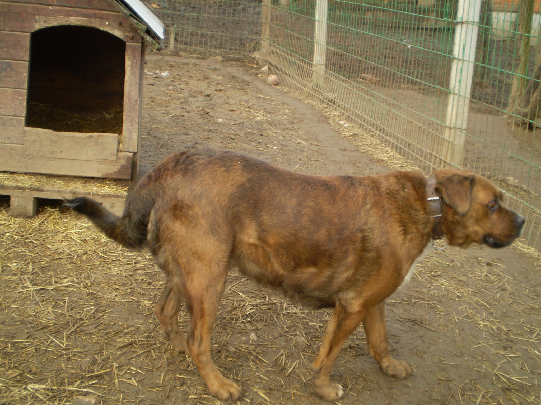 P1010018_2.JPG