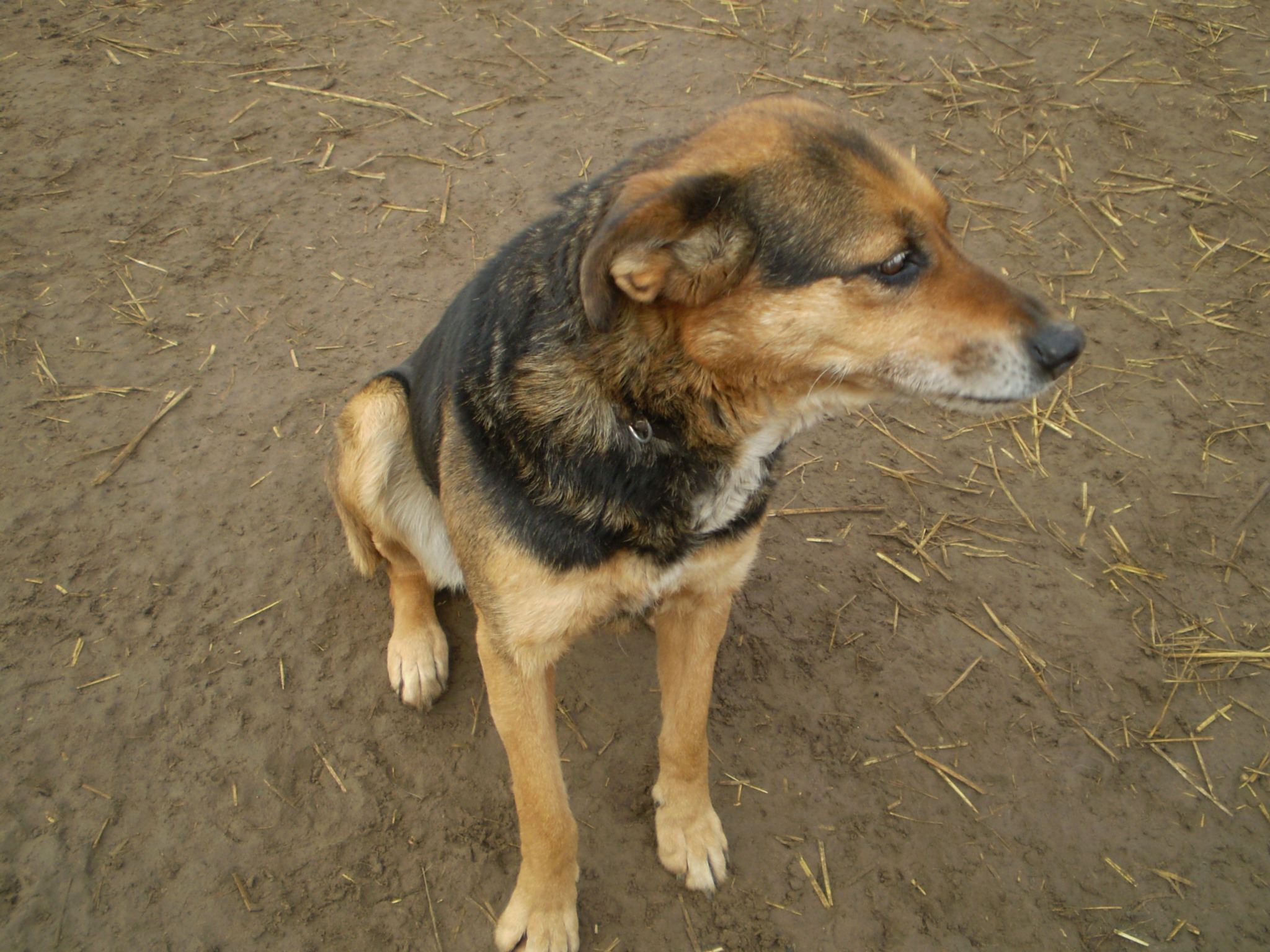 P1010025_2.JPG