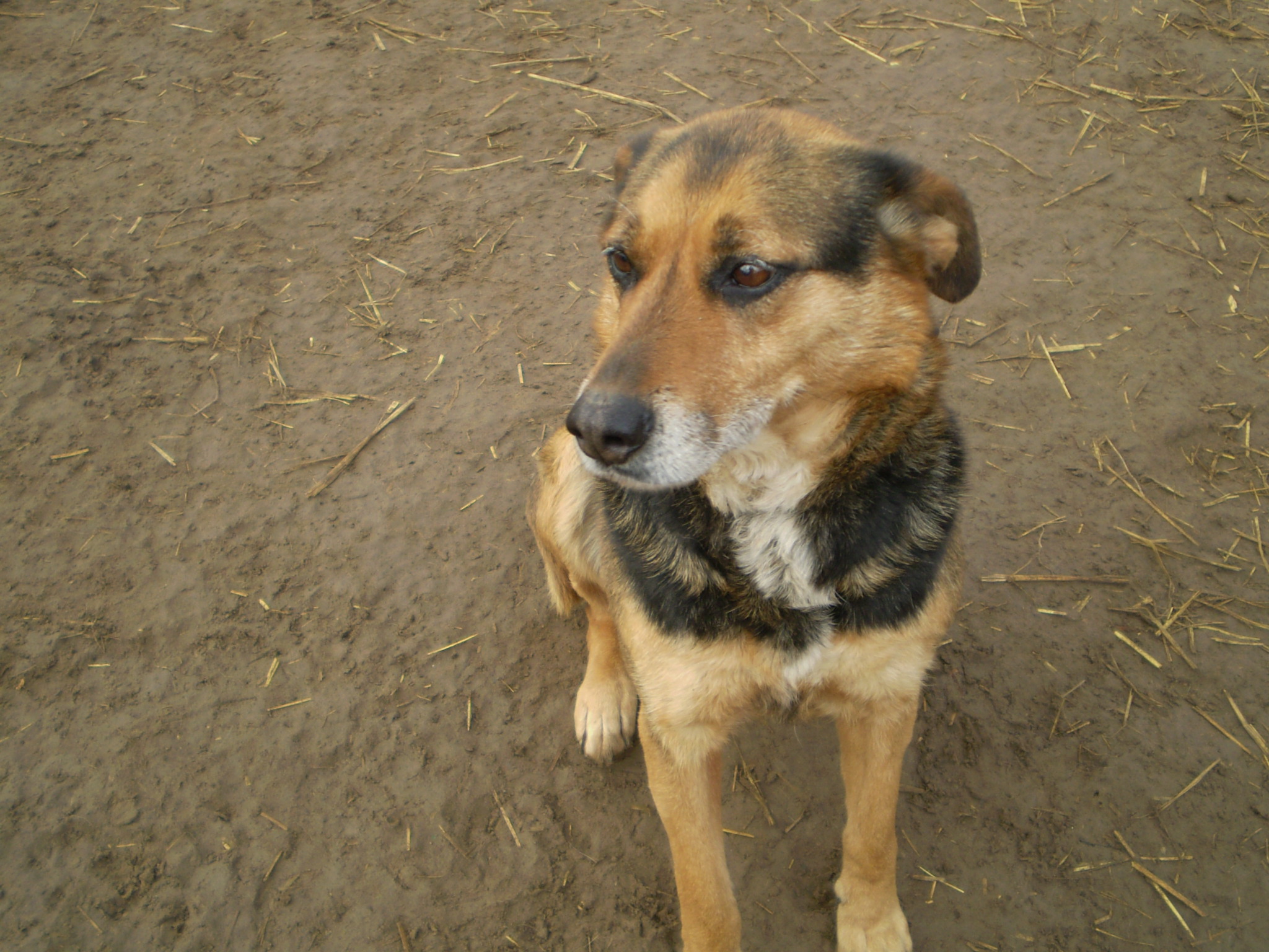 P1010026_2.JPG