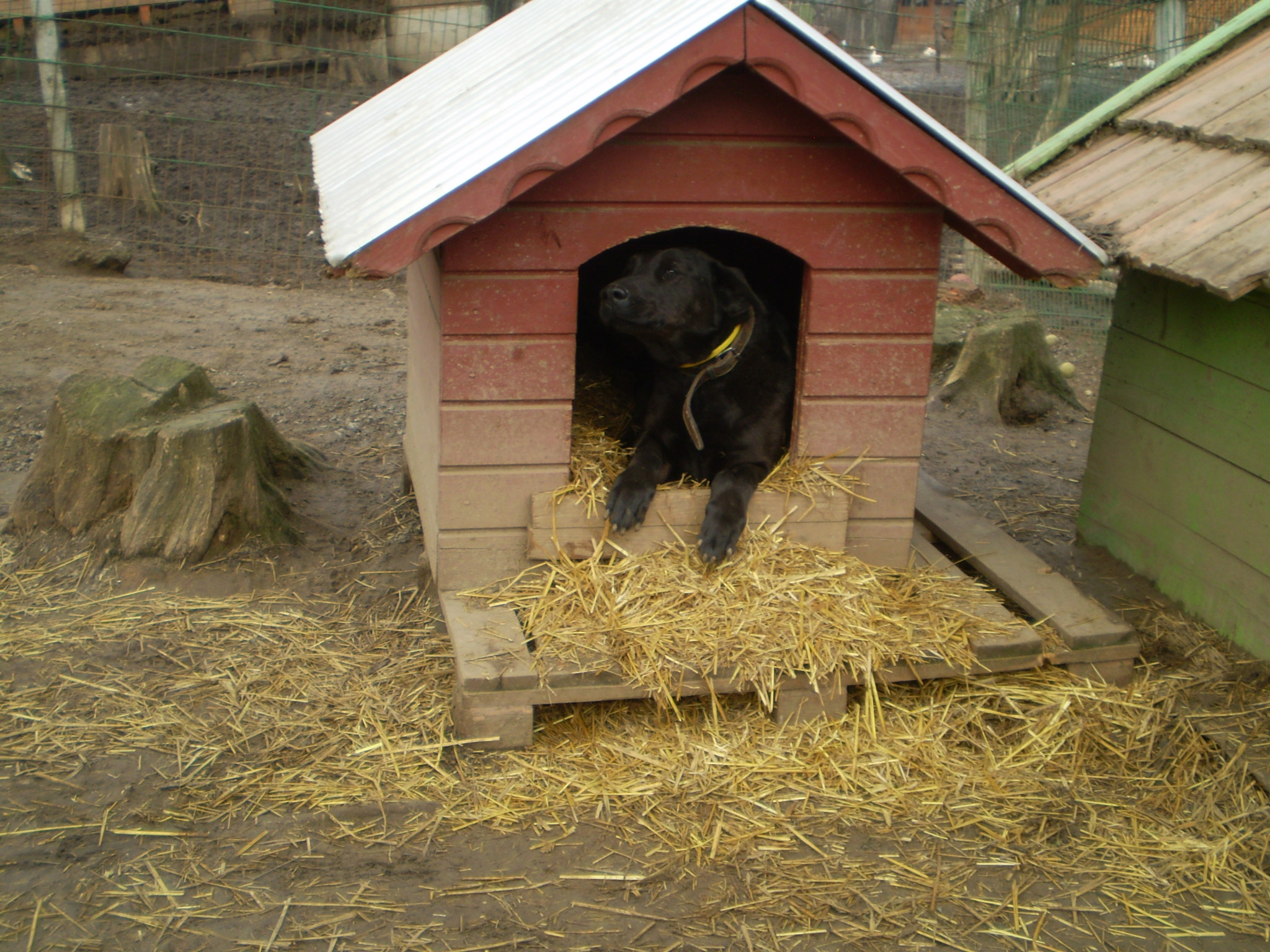 P1010028.JPG