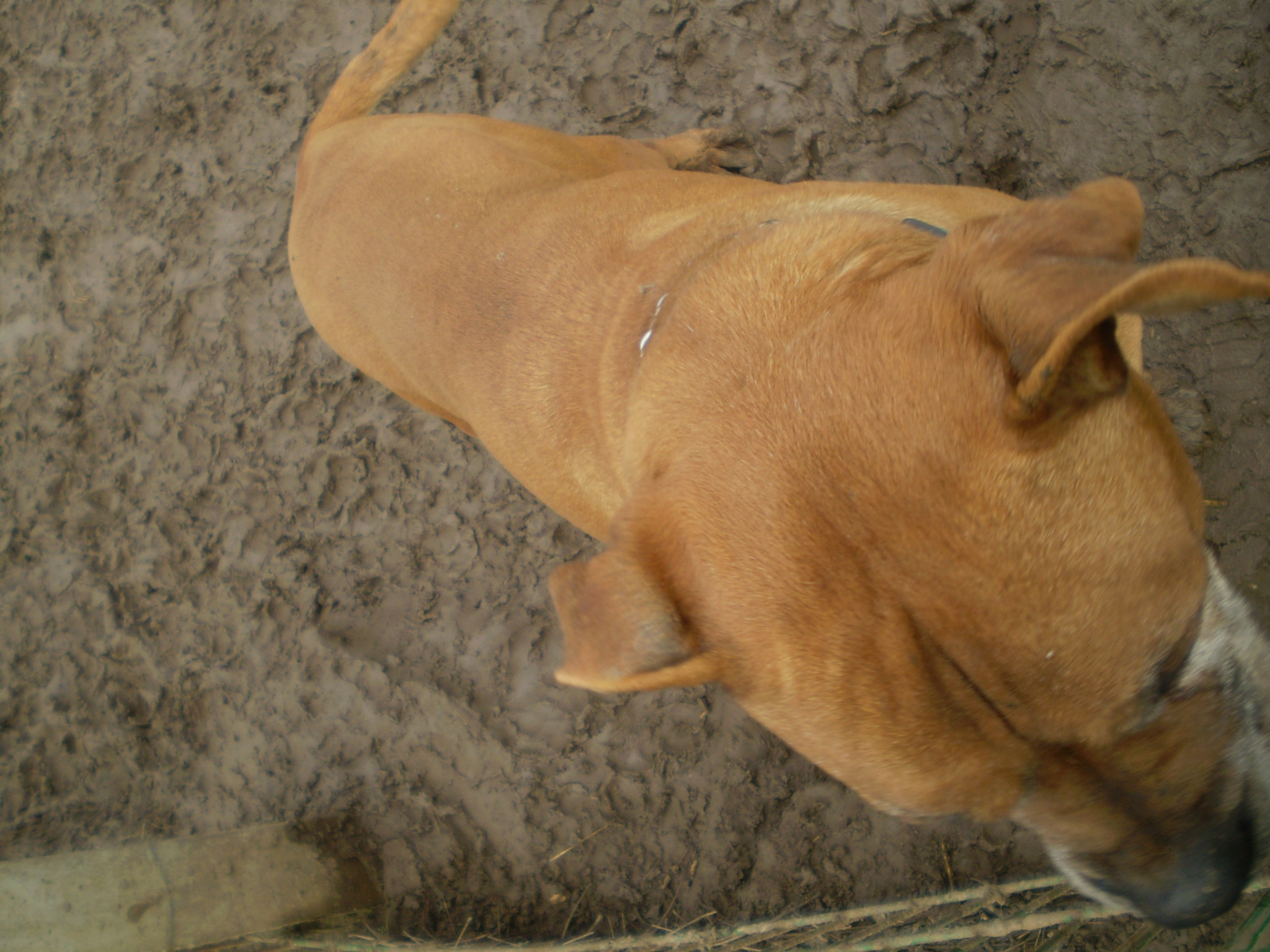 P1010059.JPG