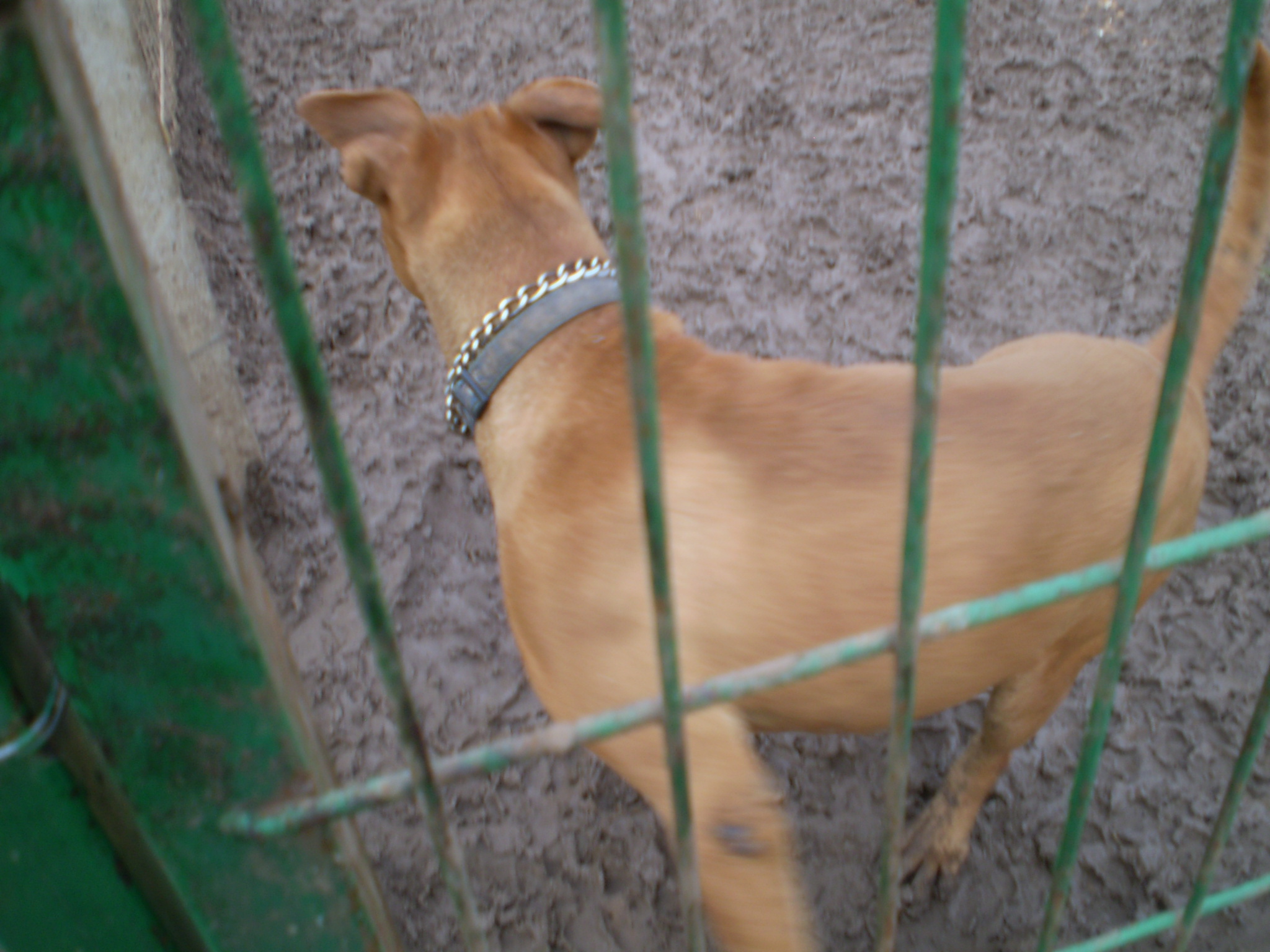 P1010060.JPG