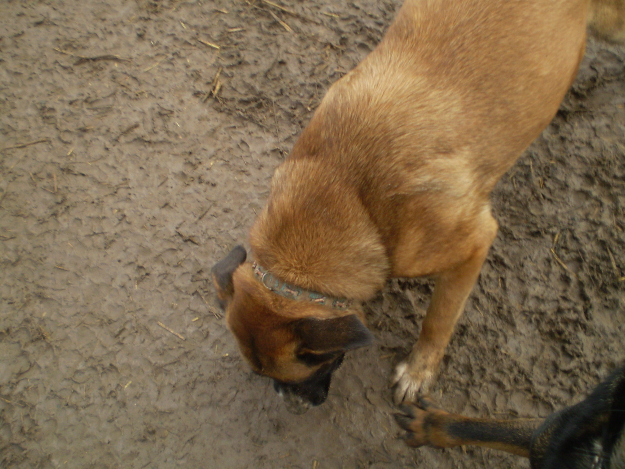 P1010073_2.JPG