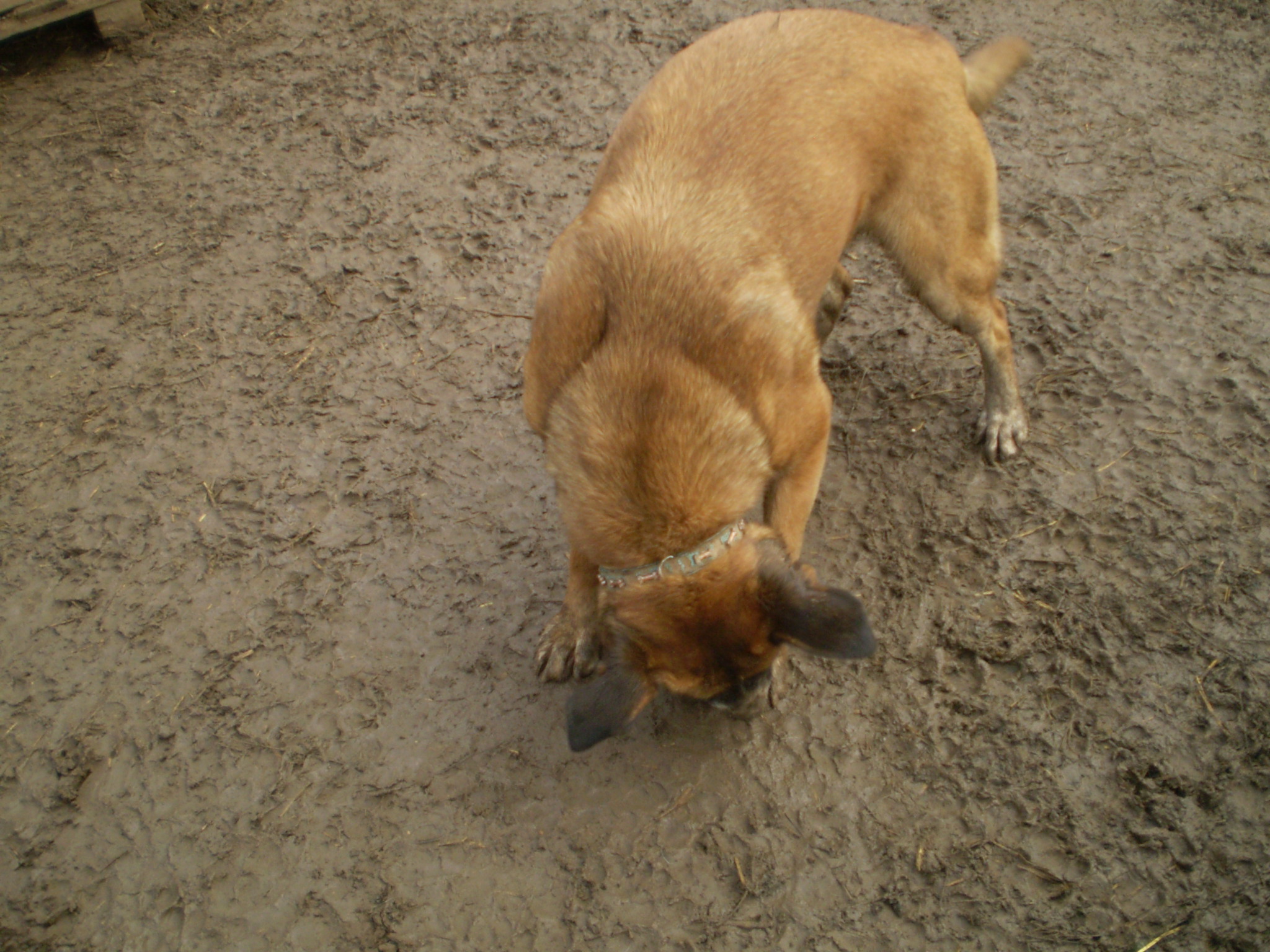 P1010075_2.JPG