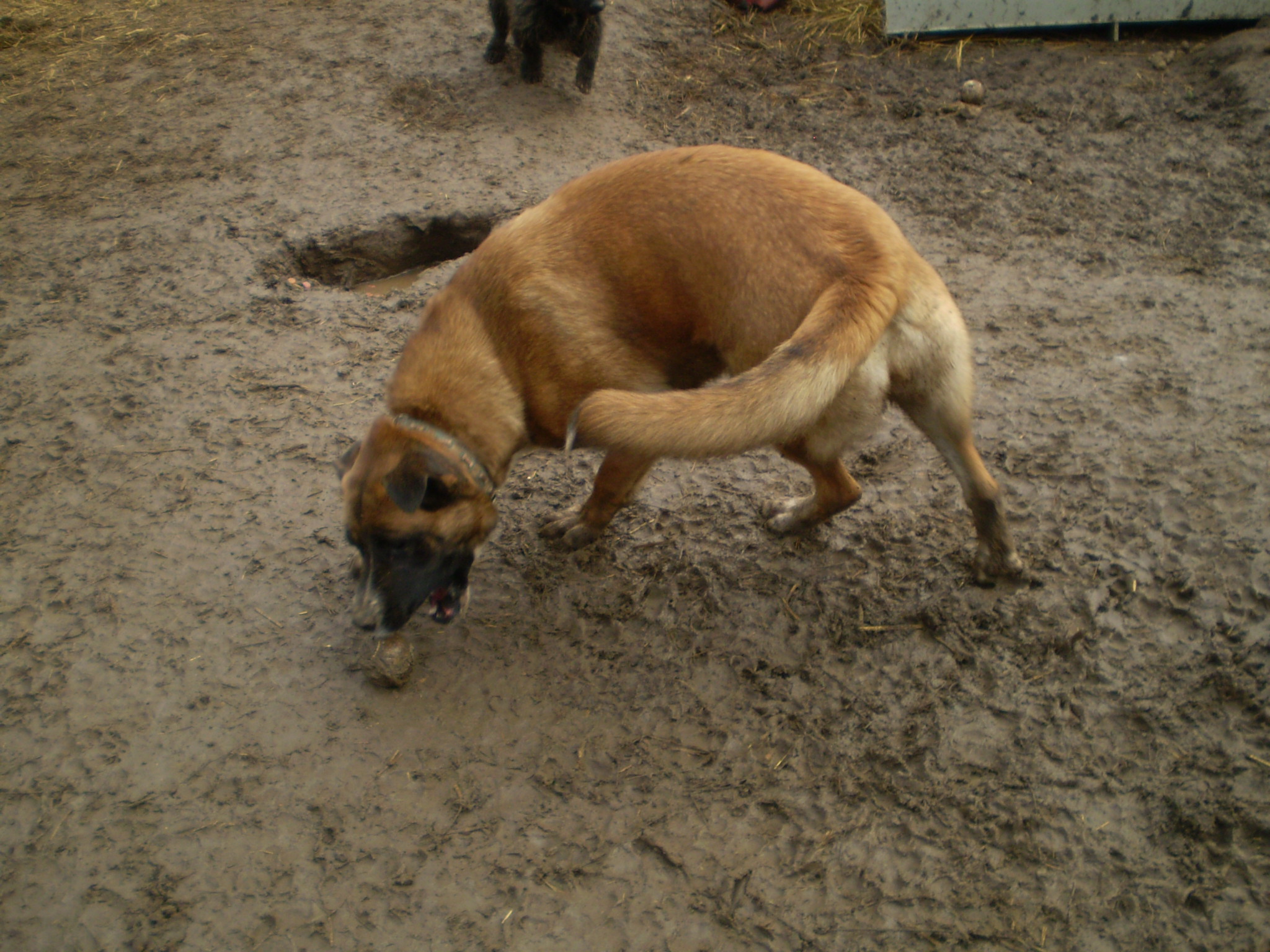 P1010076_2.JPG