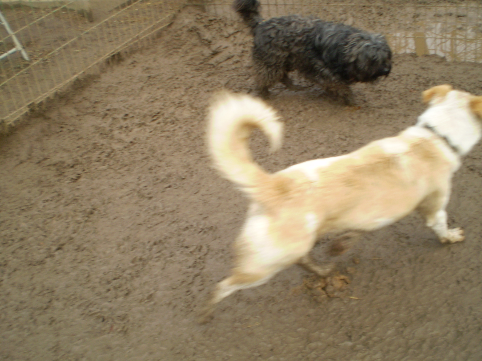 P1010114.JPG