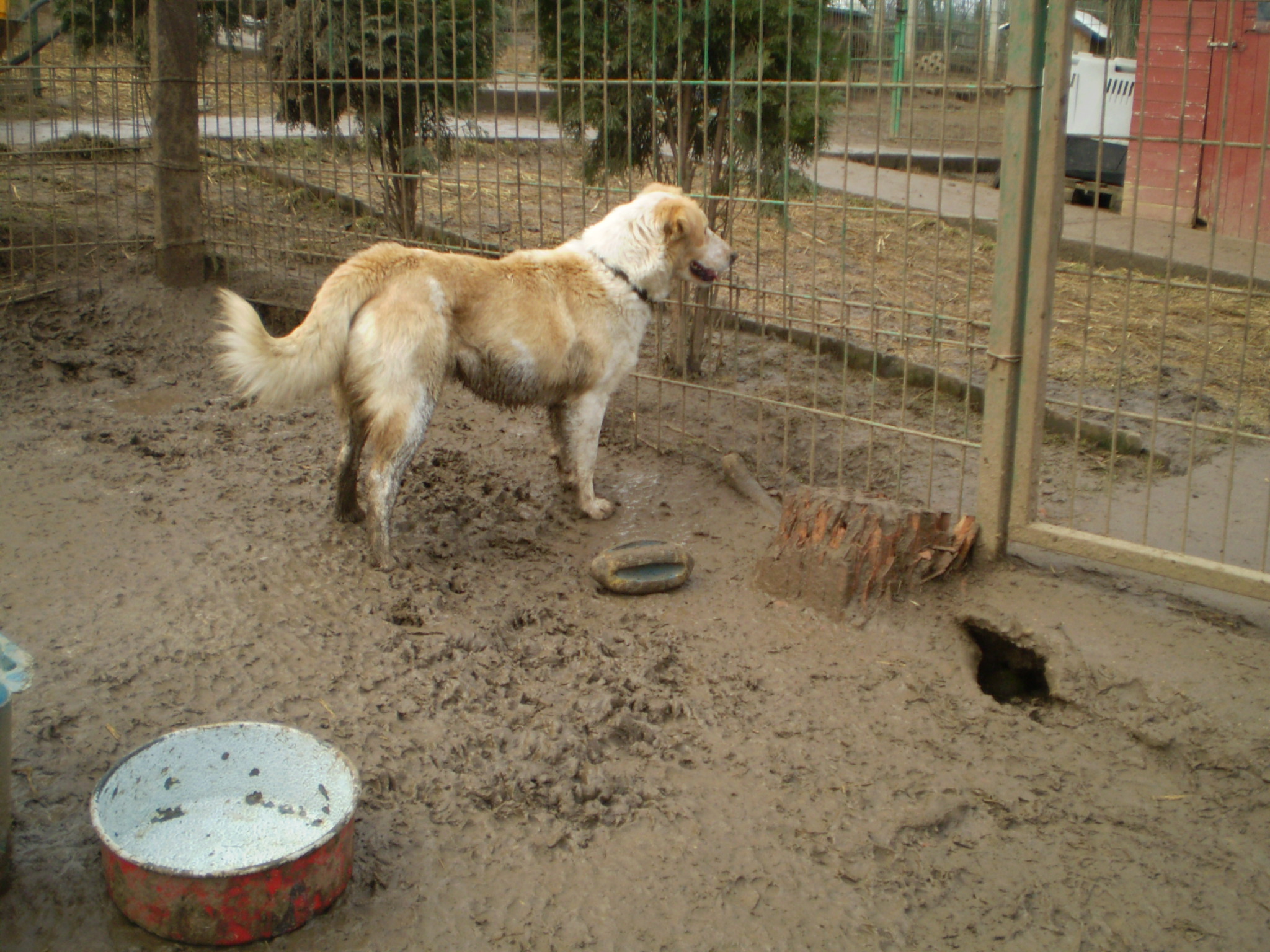 P1010116_2.JPG