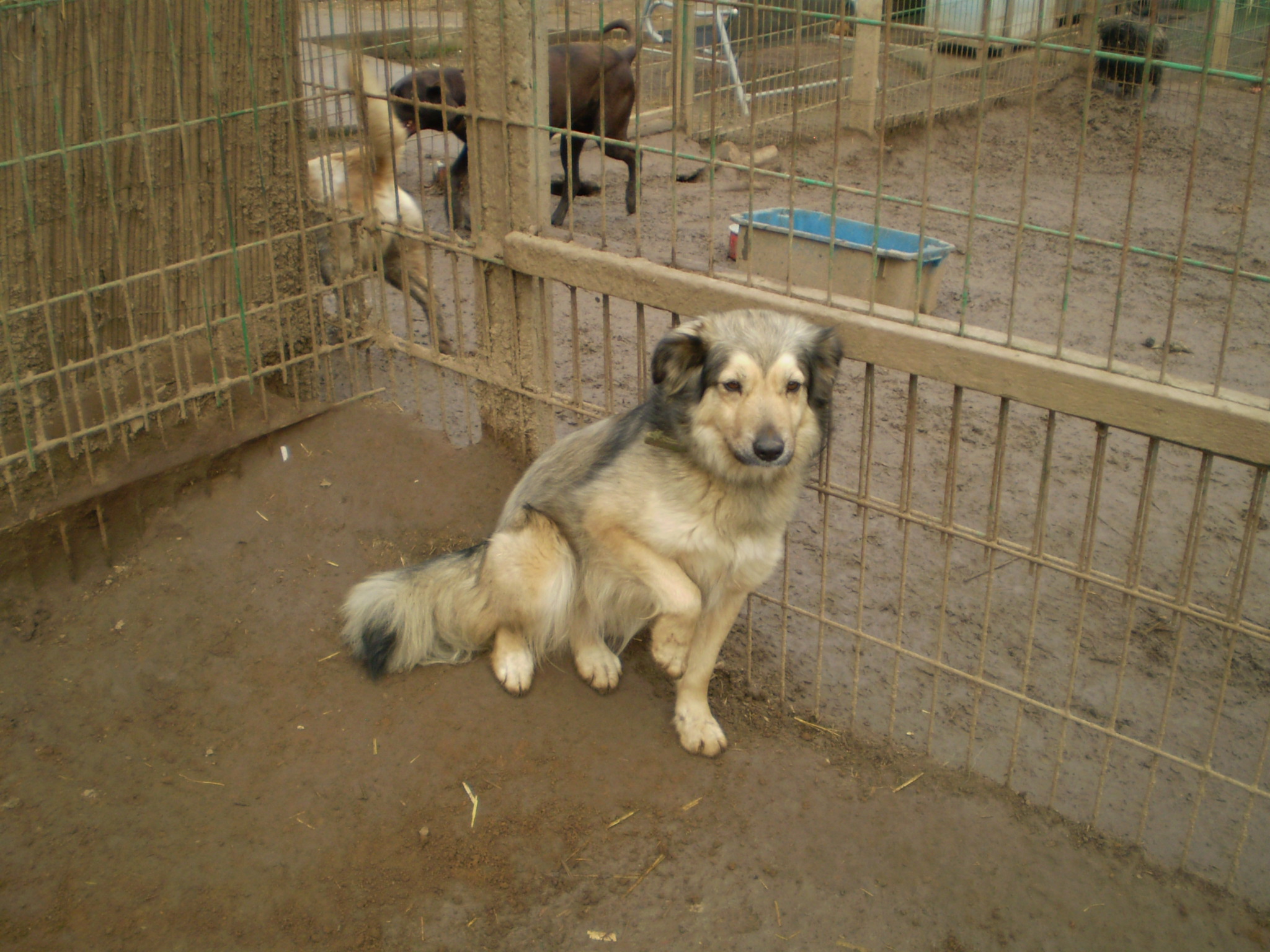 P1010127.JPG