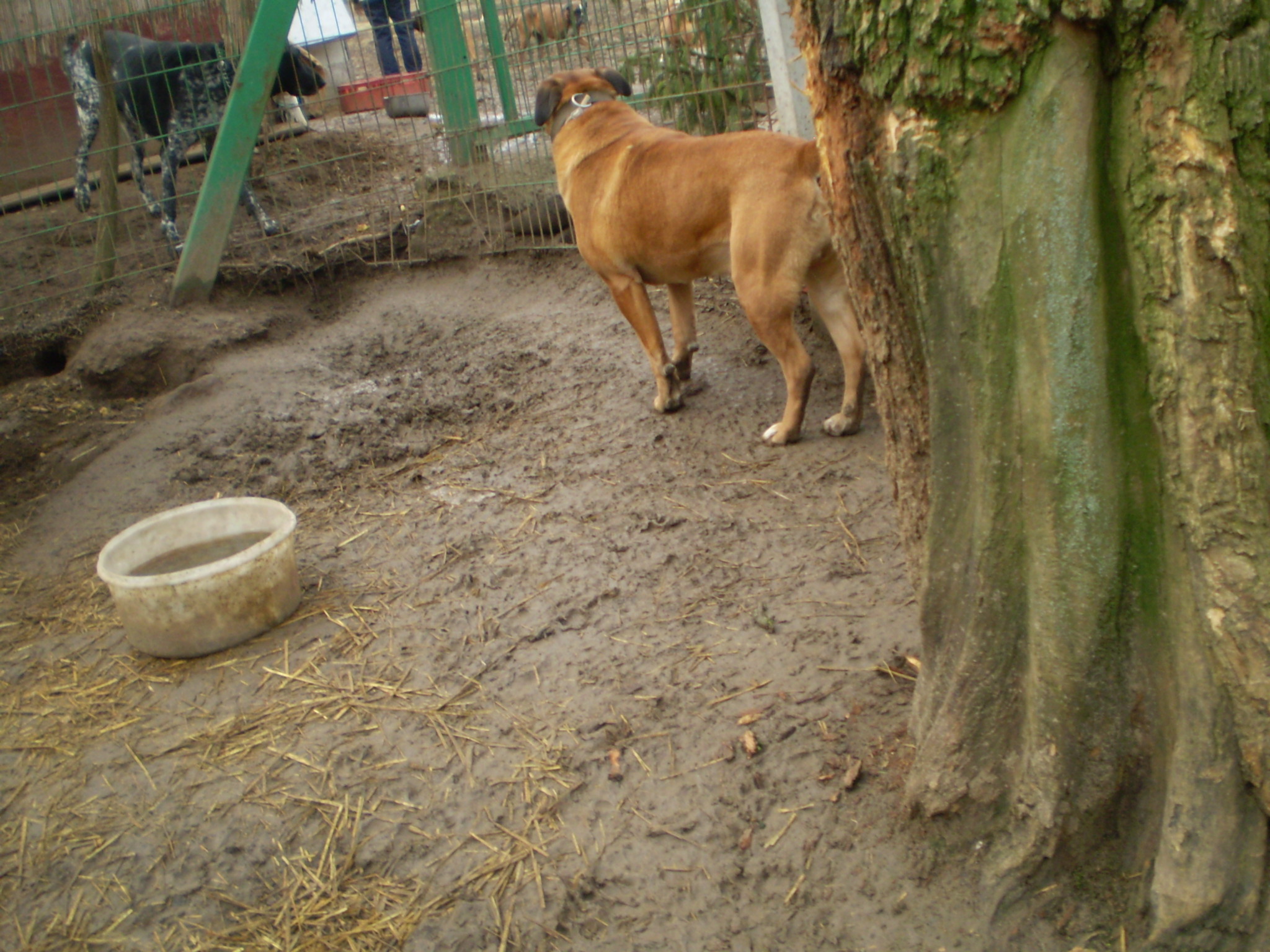 P1010147.JPG