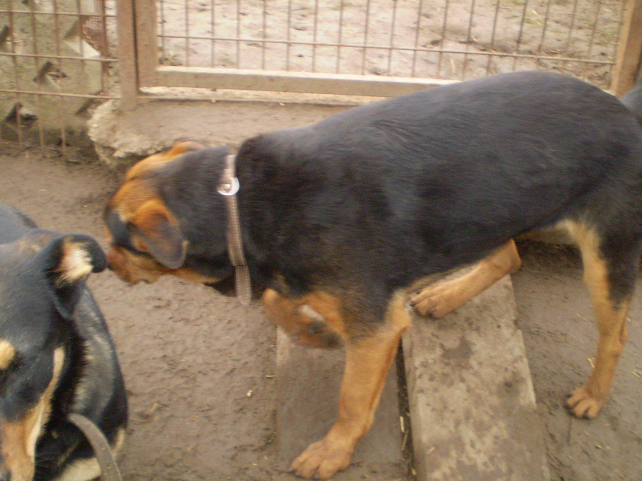P1010224.JPG
