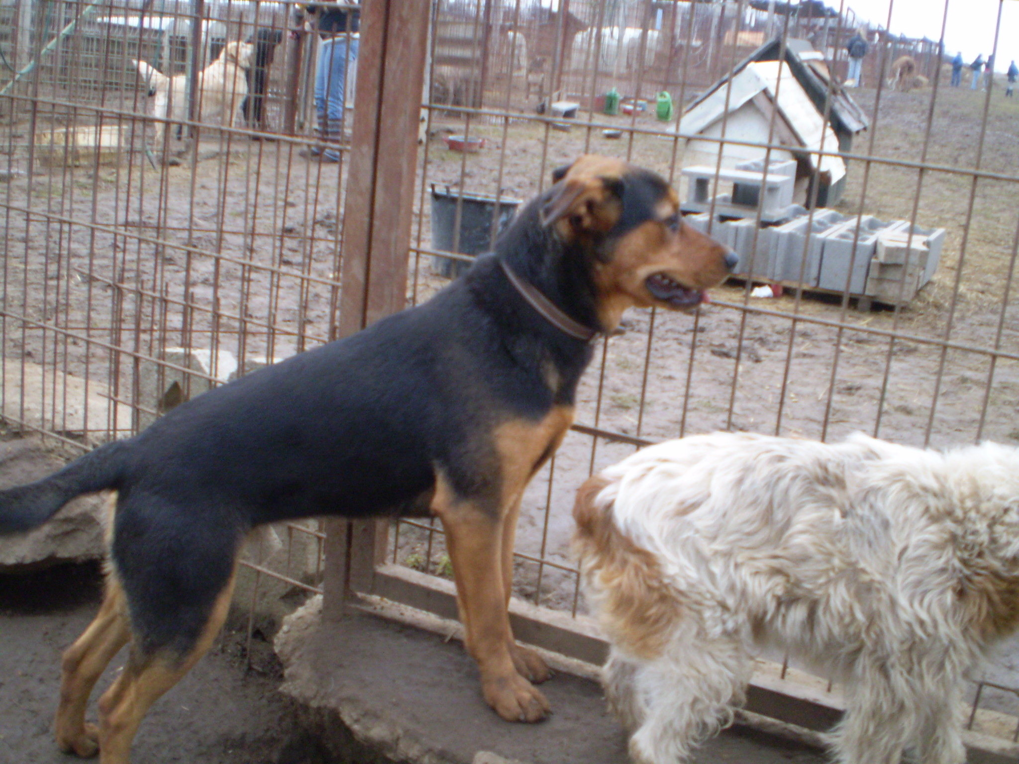 P1010225.JPG
