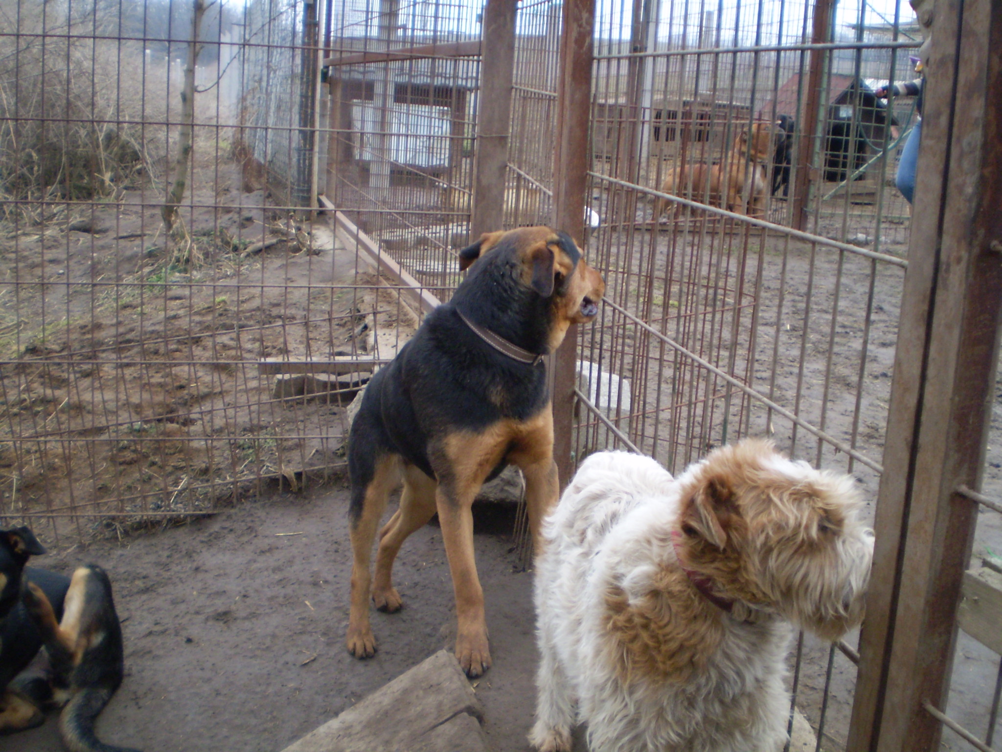 P1010227.JPG