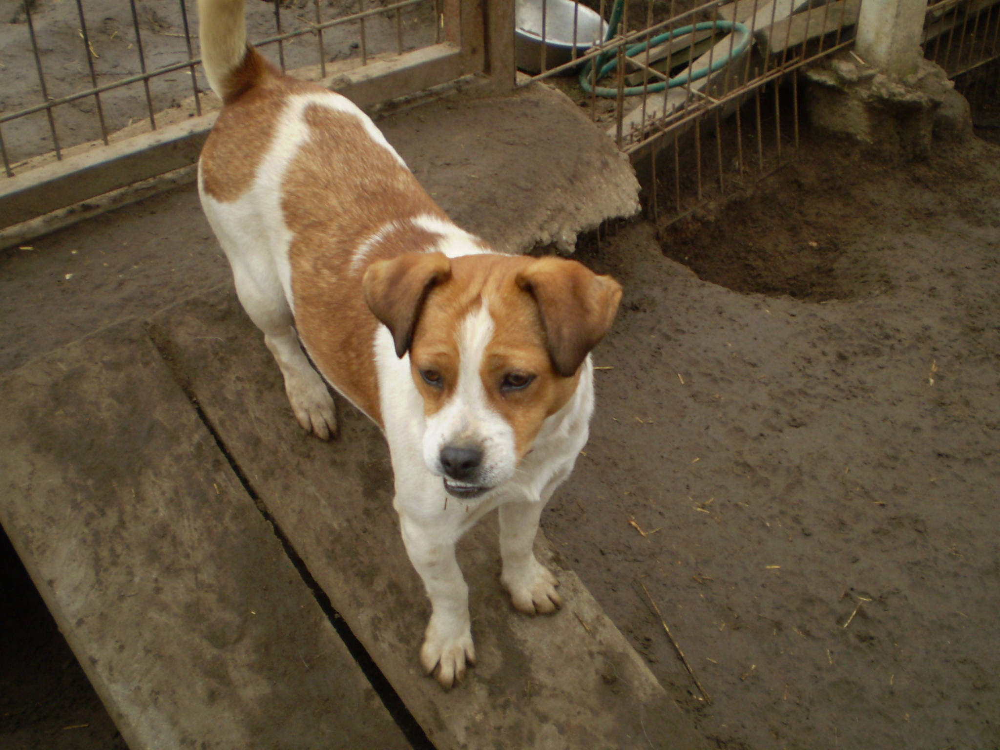 P1010235.JPG