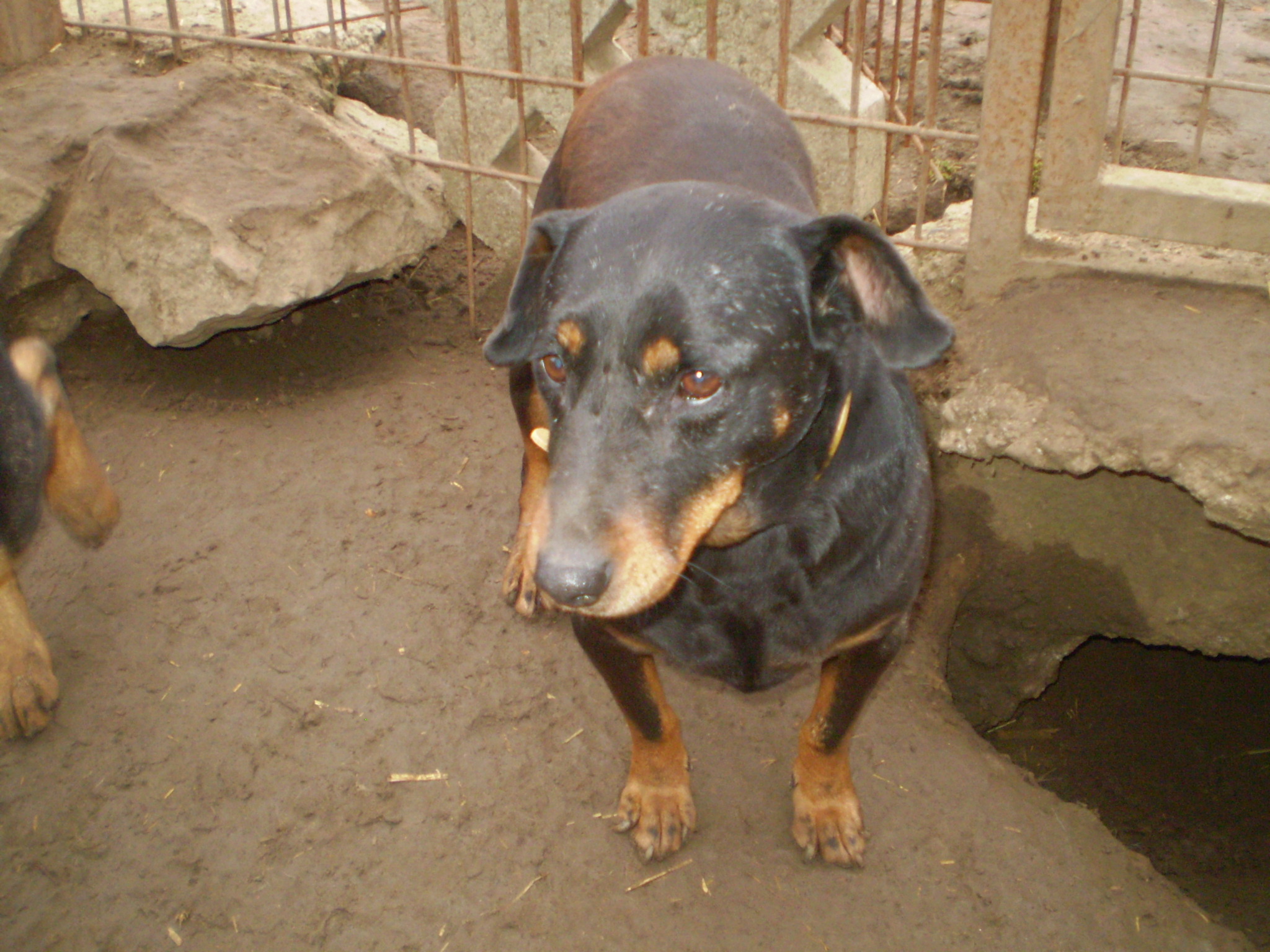 P1010237.JPG