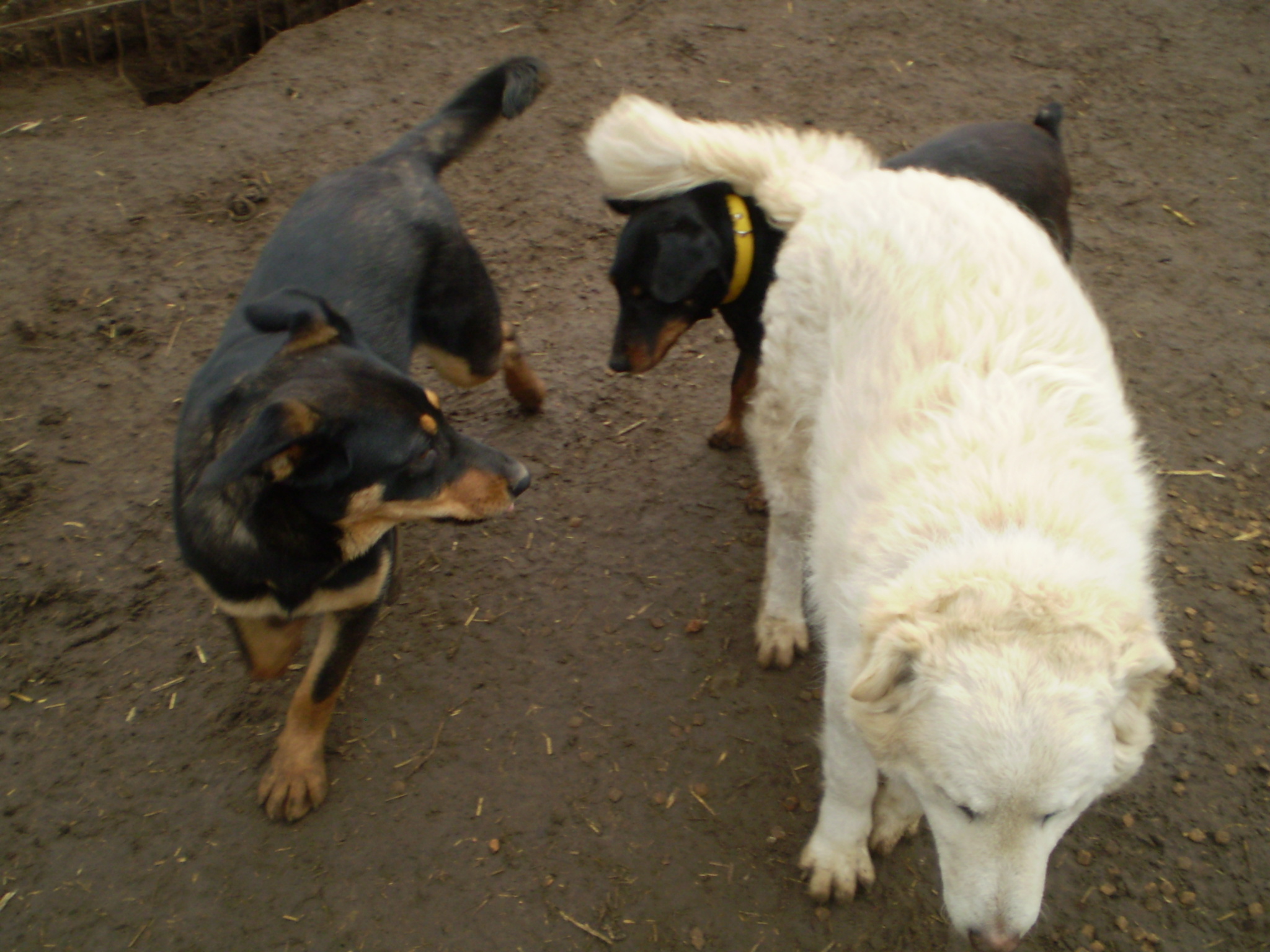 P1010244.JPG