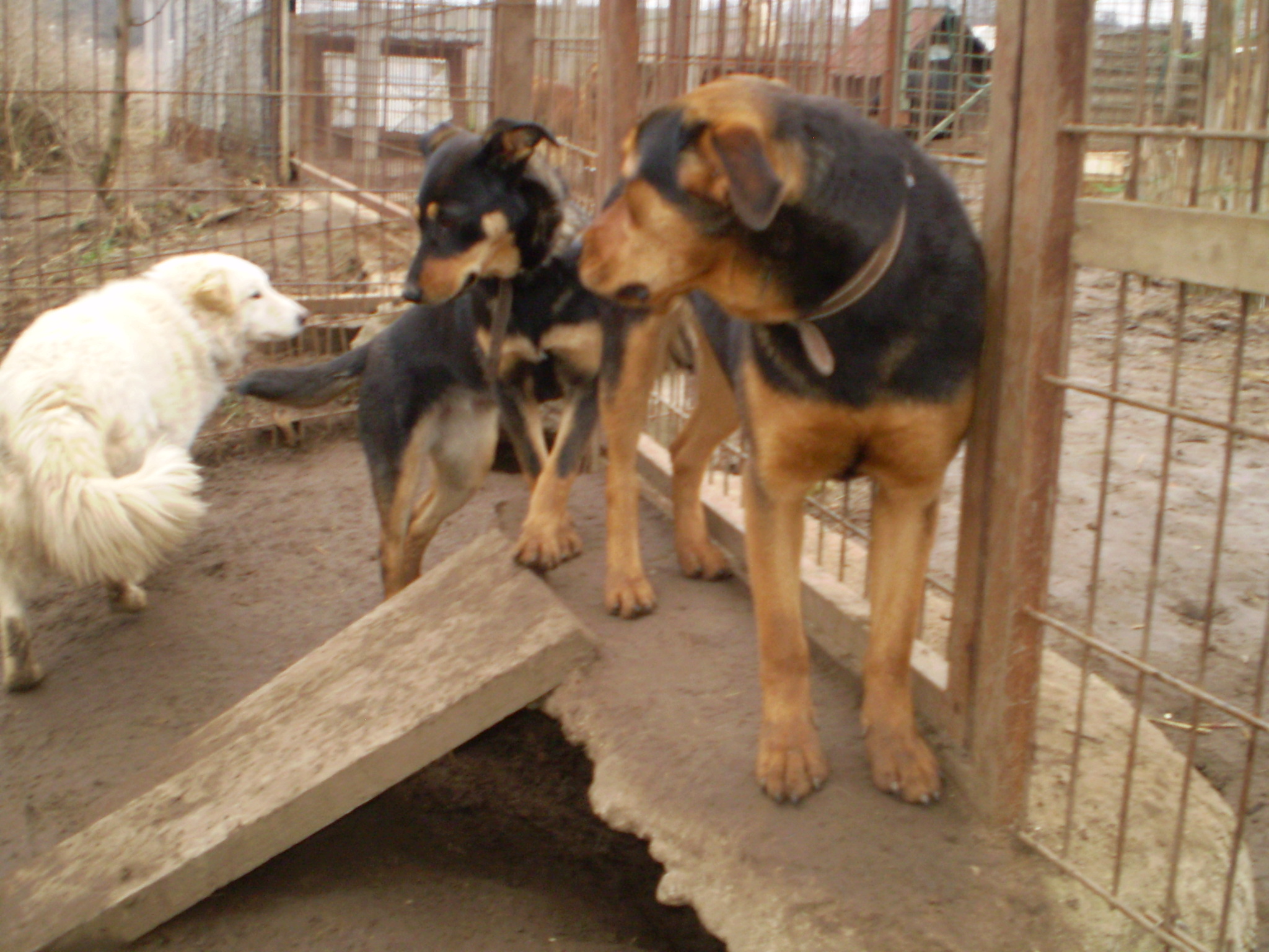 P1010263.JPG