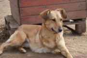 DSC00484_2.jpg