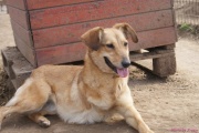 DSC00486_2.jpg
