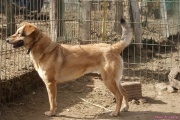 DSC00488_2.jpg
