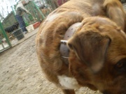 P1010016_3.JPG