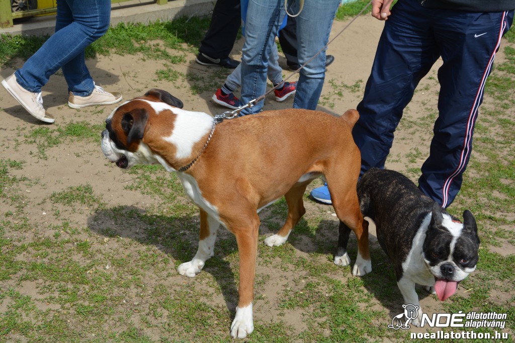 dsc_0430.jpg