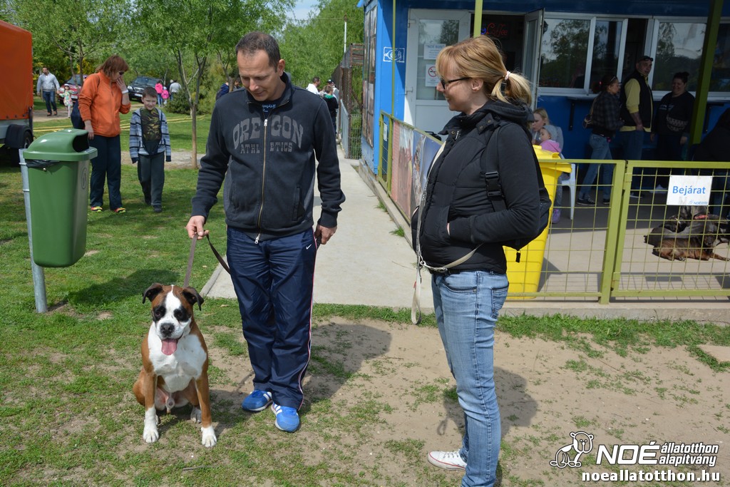 dsc_0431.jpg