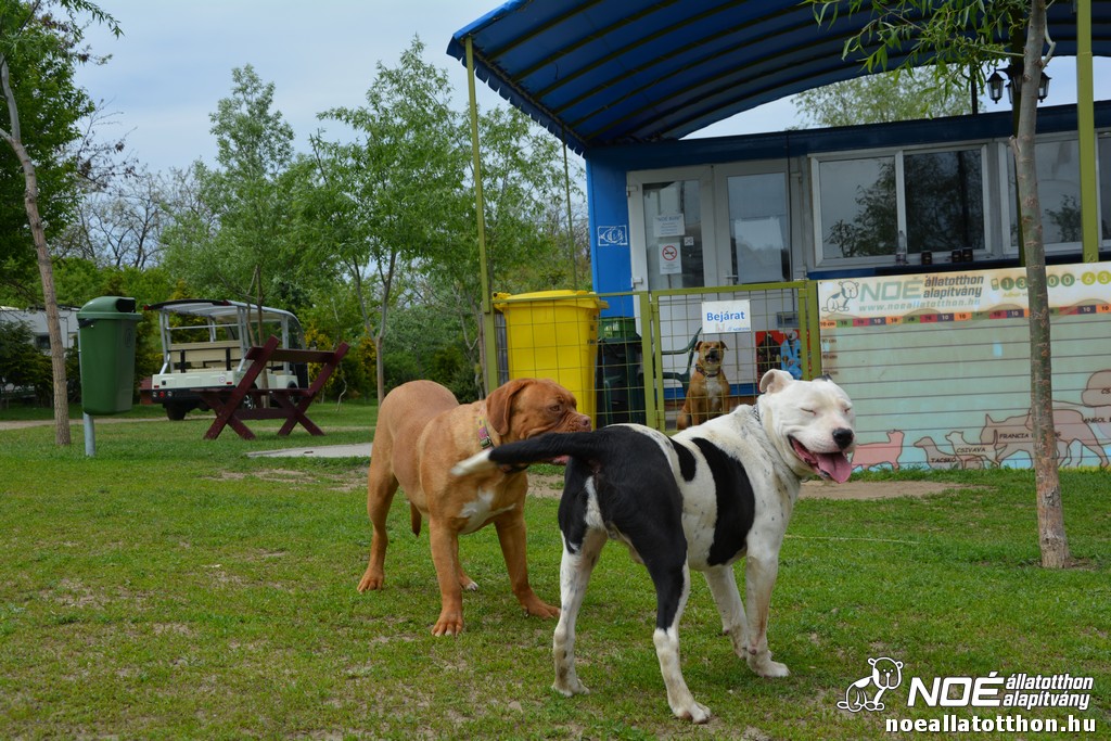 dsc_0094_2.jpg