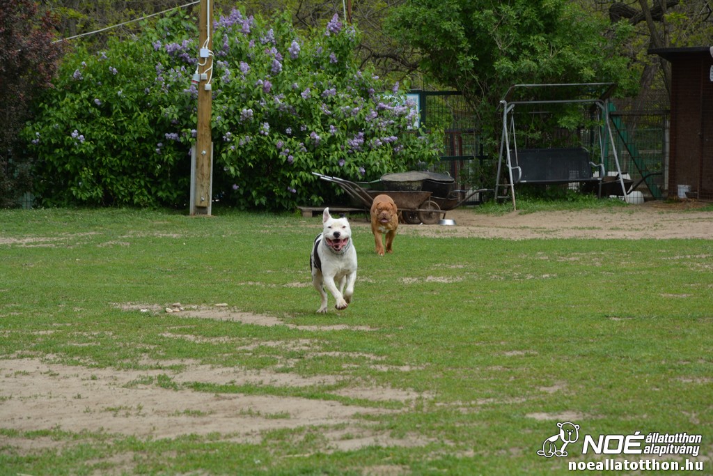 dsc_0100_2.jpg