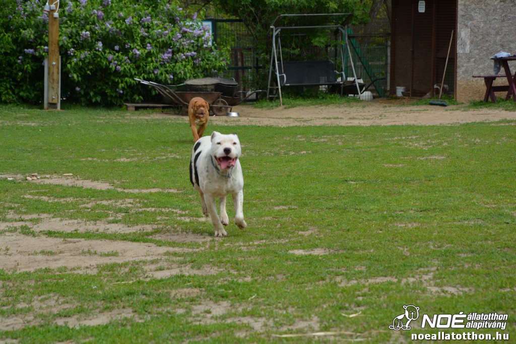 dsc_0101.jpg