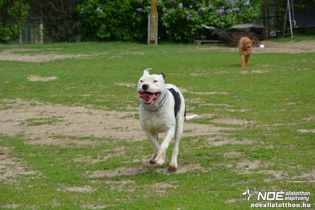 dsc_0102_2.jpg