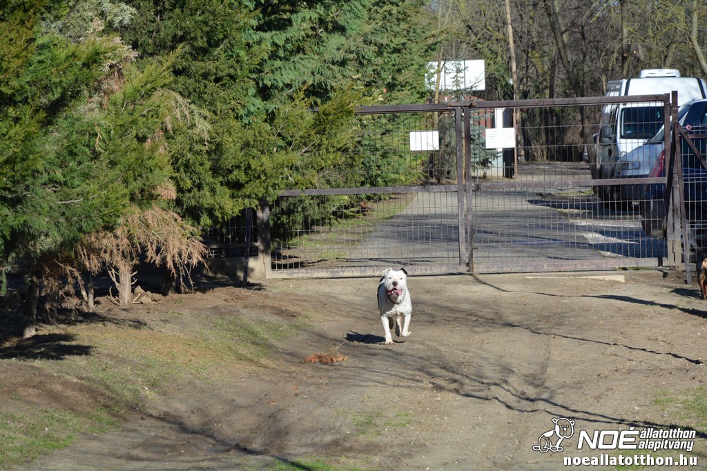 dsc_0582.jpg