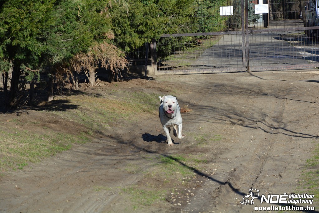 dsc_0583.jpg