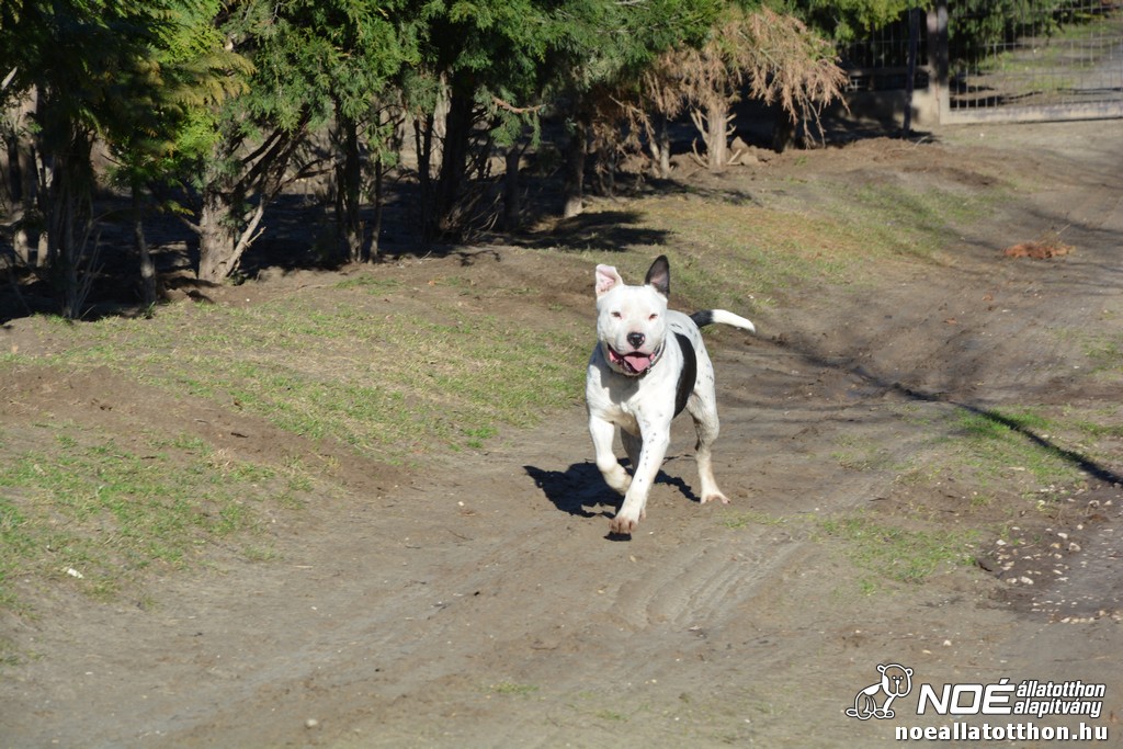 dsc_0584.jpg