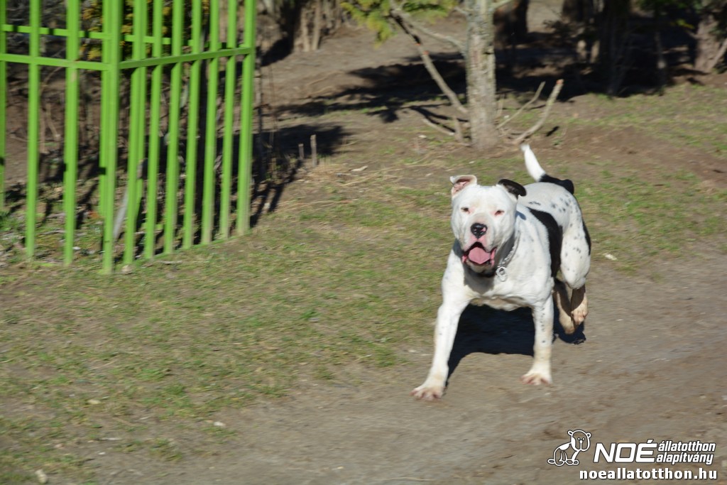 dsc_0585.jpg