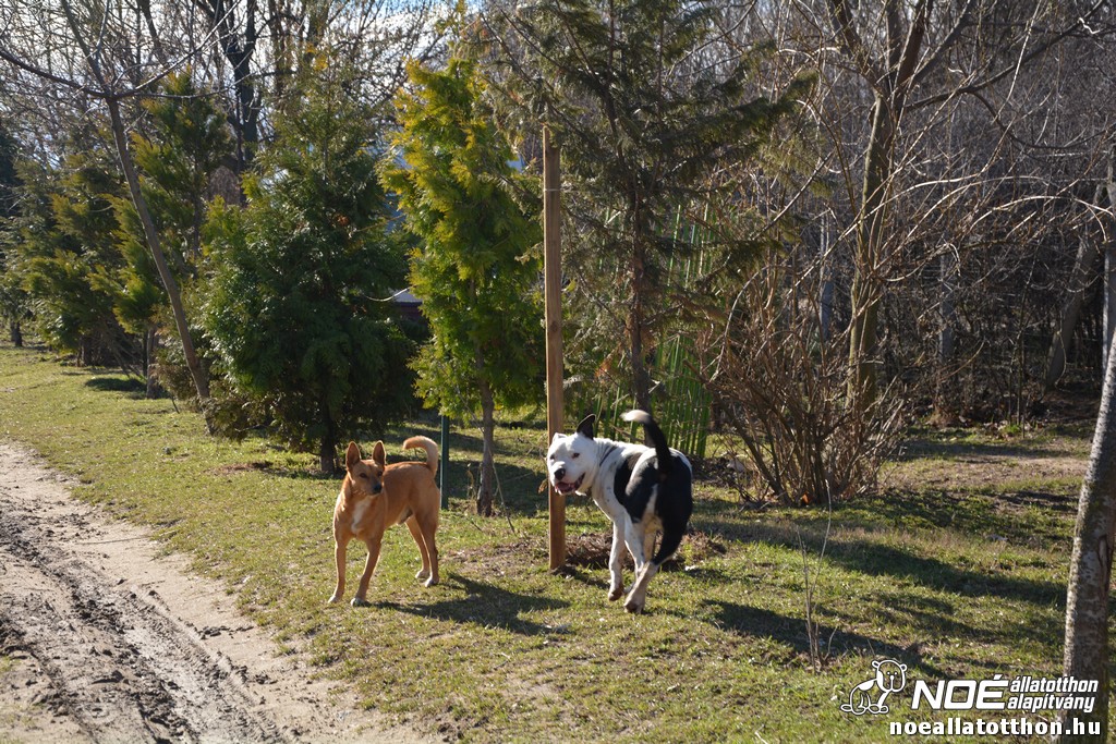 dsc_0587.jpg