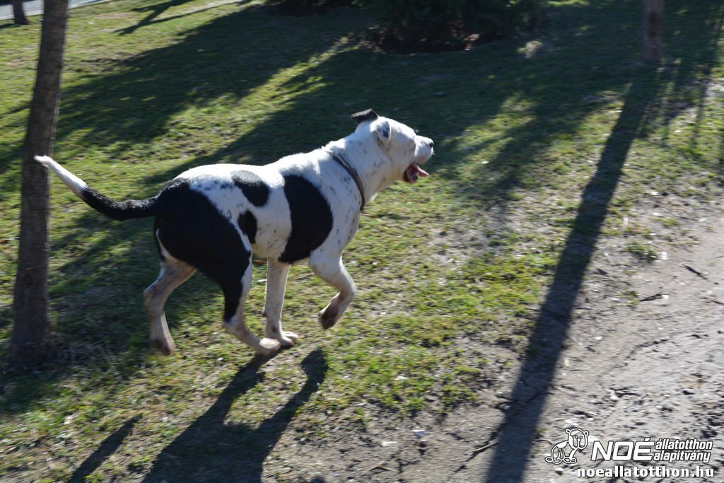 dsc_0589.jpg