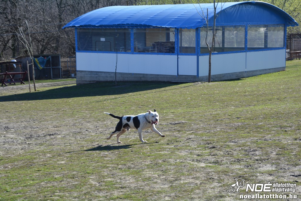 dsc_0595.jpg