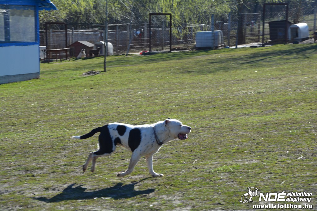 dsc_0596.jpg