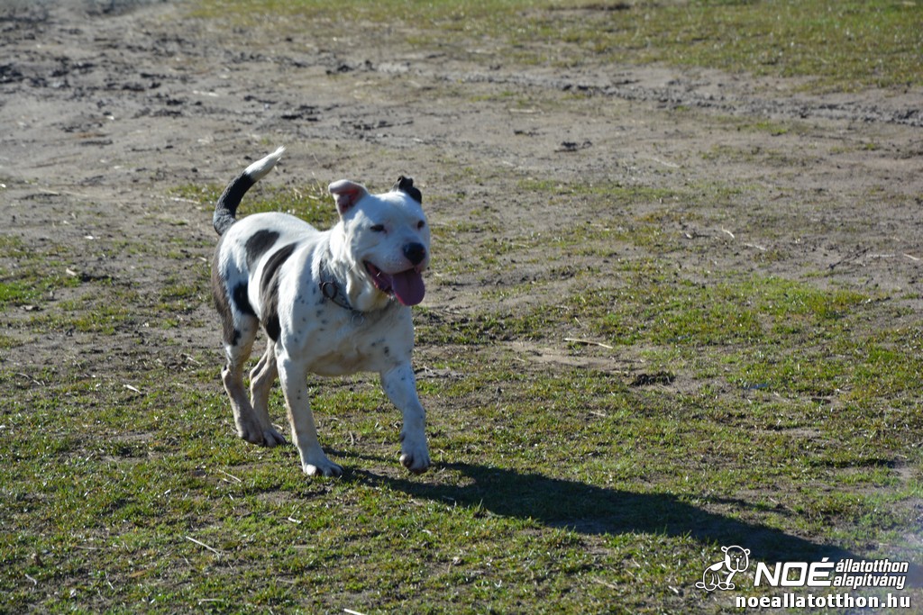 dsc_0599.jpg