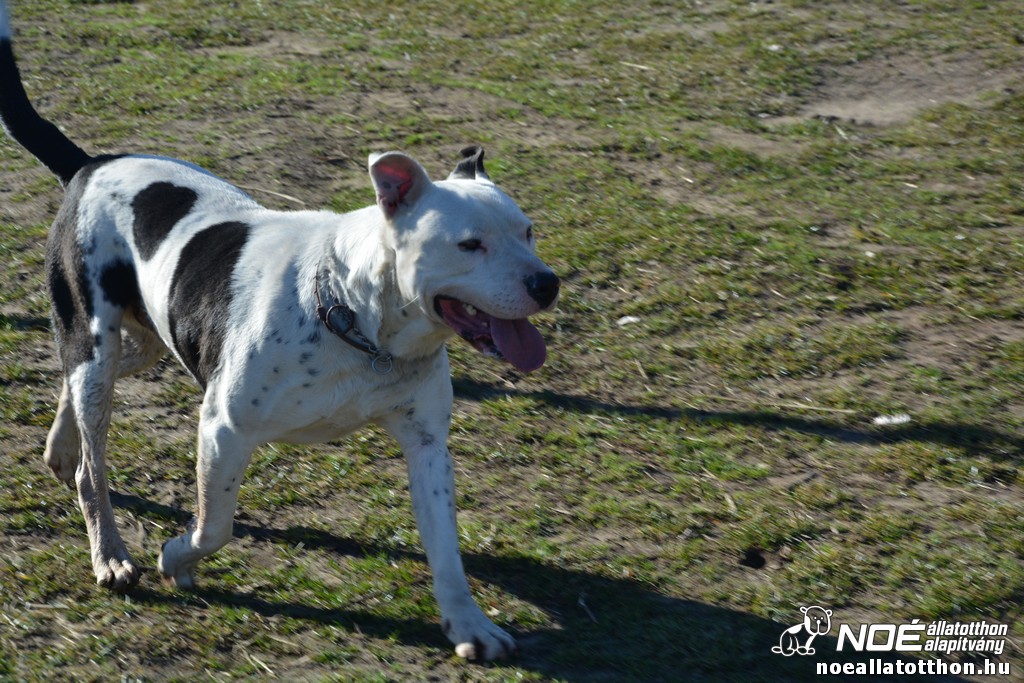 dsc_0601.jpg