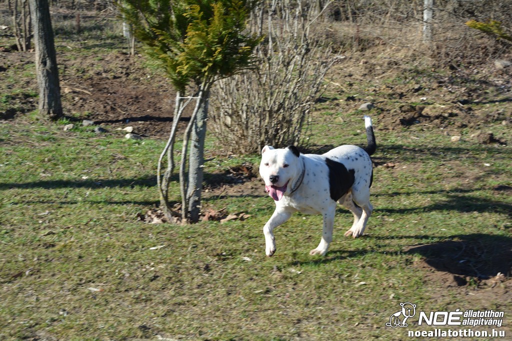 dsc_0604.jpg