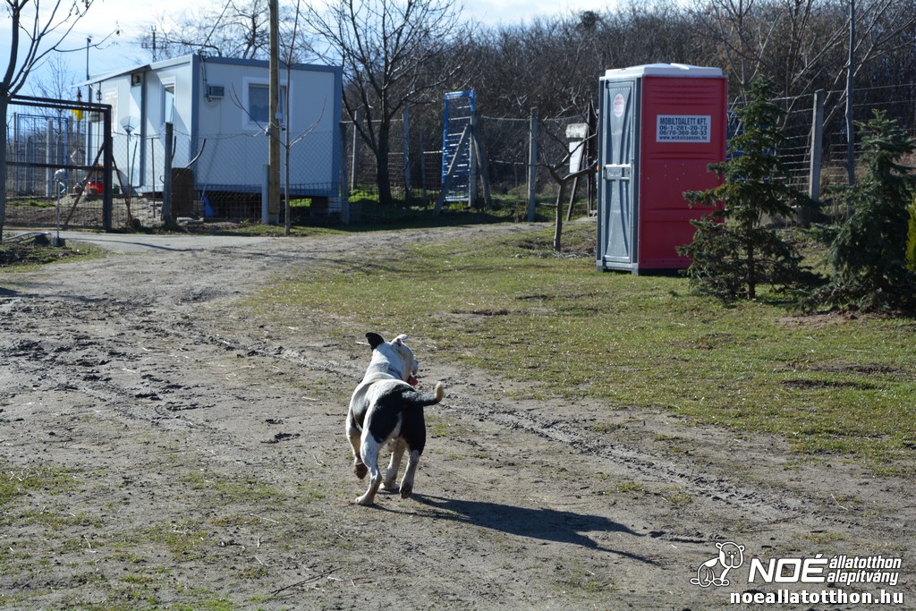 dsc_0607.jpg